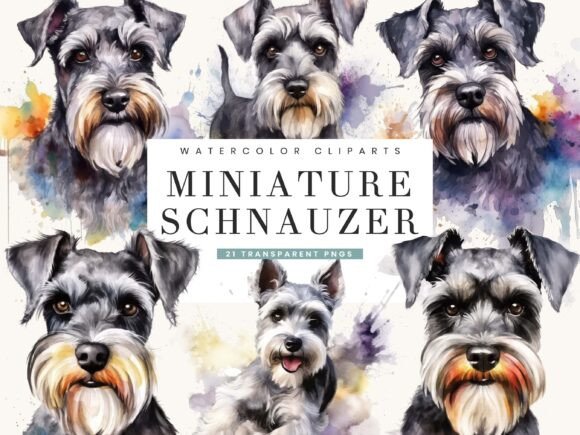Download Miniature Schnauzer Clipart Bundle - Art Collection