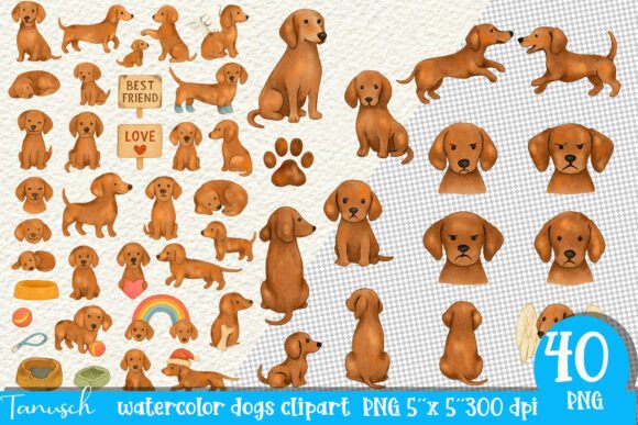 Download Watercolor Dachshund Dogs Clipart Set - Art Collection